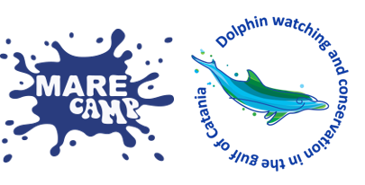 Marecamp Logo