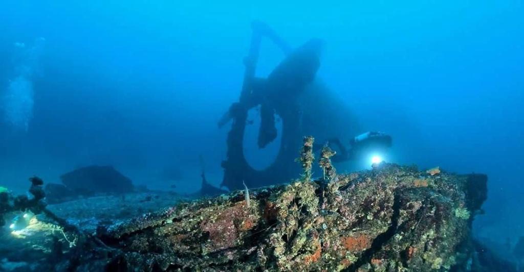 Underwater wonders in Catania. @Apogon-DNA Divers