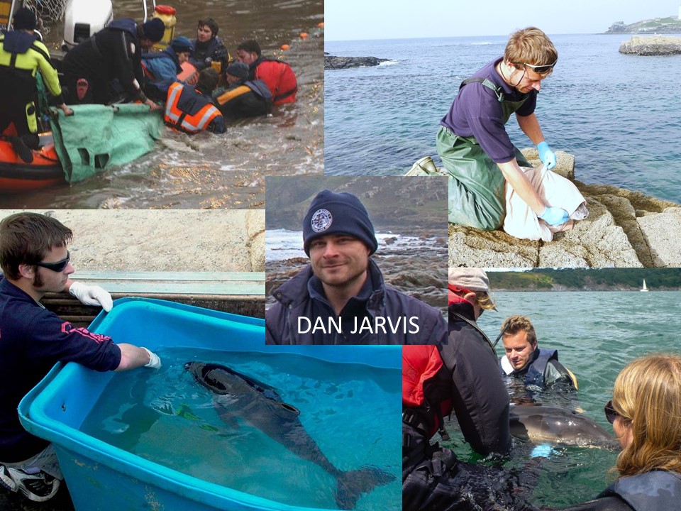 Picture of Dan Jarvis rescuing cetaceans