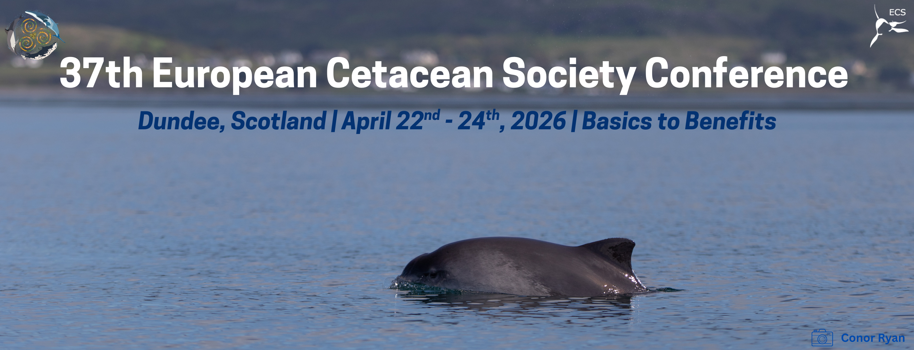 Harbour porpoise conference banner