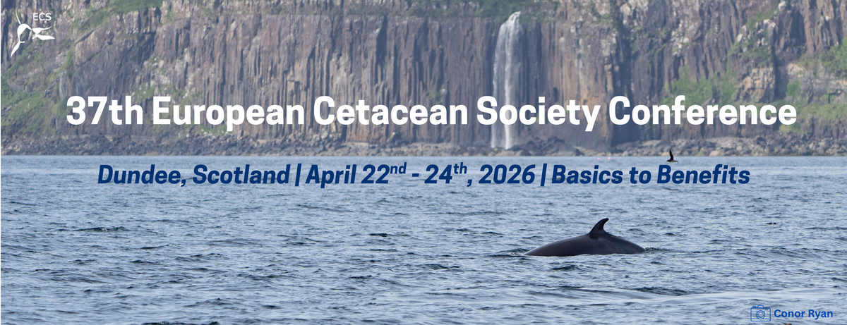 37th ECS conference banner