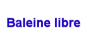 Baleine libre