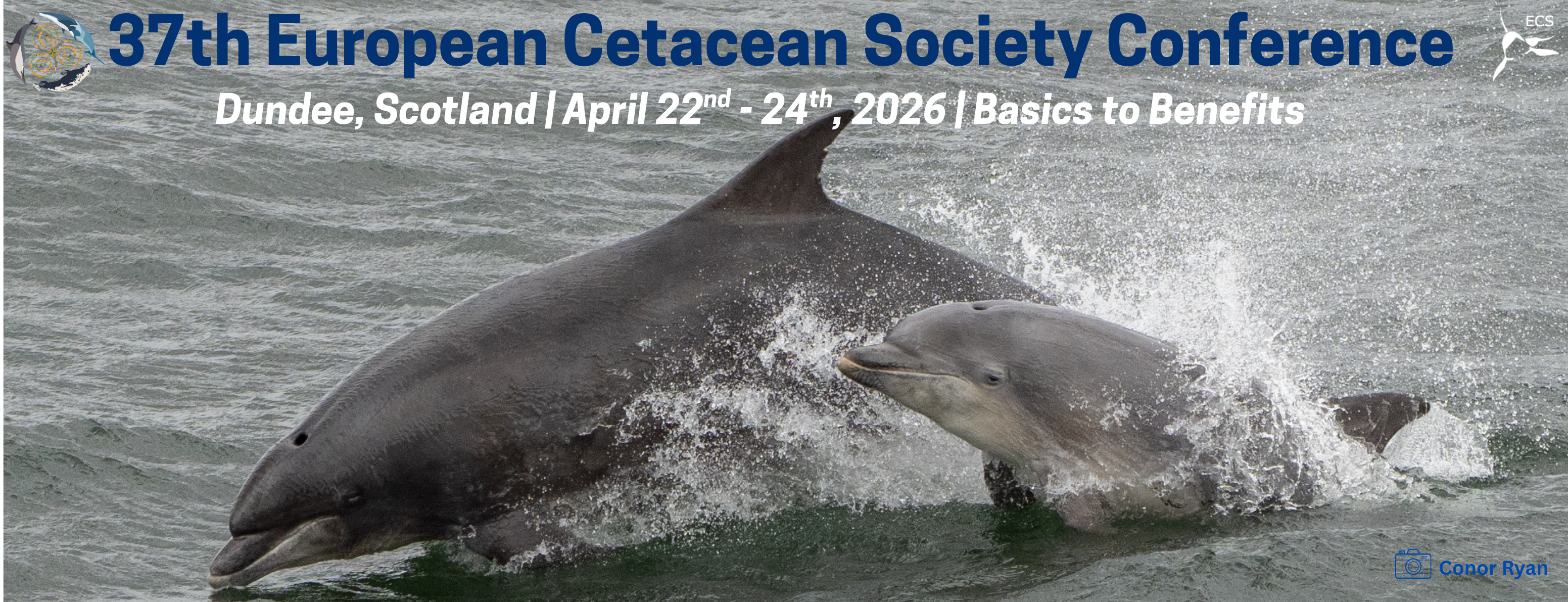 Banner student volunteering