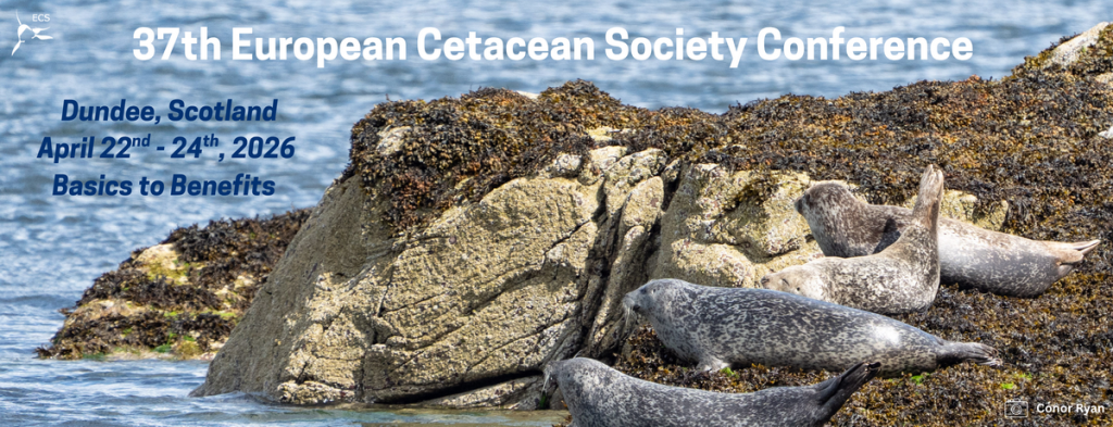 37th ECS conference in Dundee; all marine mammals welcome
