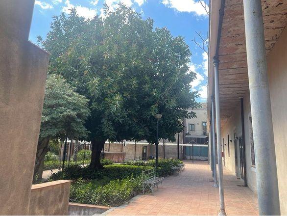 Ex-Conservatorio Vergini al Borgo. Plant Biology section of the Department of Biological, Geological and Environmental Sciences of the University of Catania. © Università di Catania