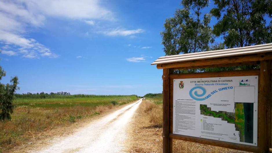 "Oasi del Simeto" Nature Reserve. Established in 1984 to preserve the natural environment of particular interest seriously threatened by the actions of man, to promote and enhance the conditions for resident and nesting fauna and restoration of Mediterranean vegetation. @cataniatoday.it